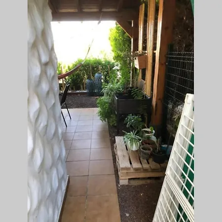 Vv 16 , La Playa Internet 300 Mega Appartement *